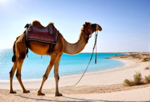 djerba